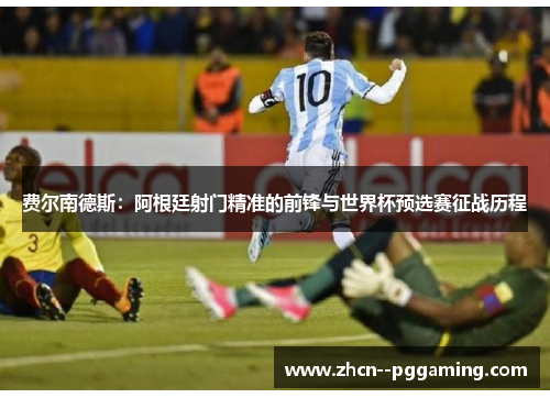 费尔南德斯：阿根廷射门精准的前锋与世界杯预选赛征战历程